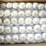 Weiße Haut mit frischem Knoblauchgeflecht